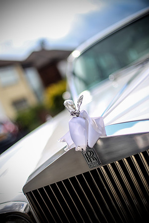 Mr & Mrs O'Donovan-220